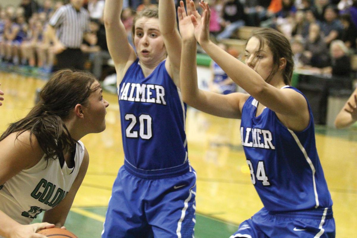 PalmerColony basketball Local Sports News