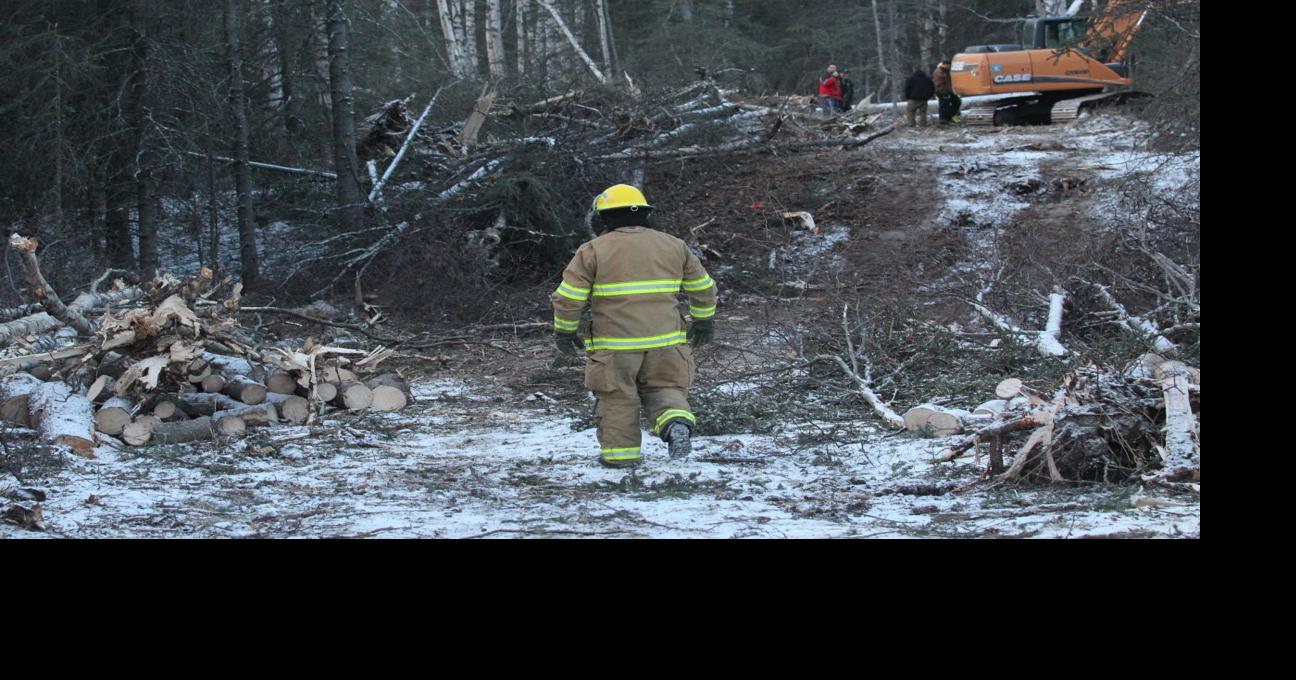 Man killed in treecutting accident Local News