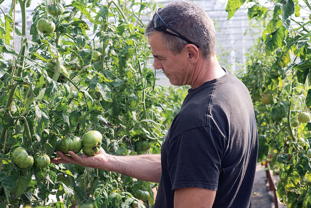 Farming growth in Alaska tops national average Local News Stories