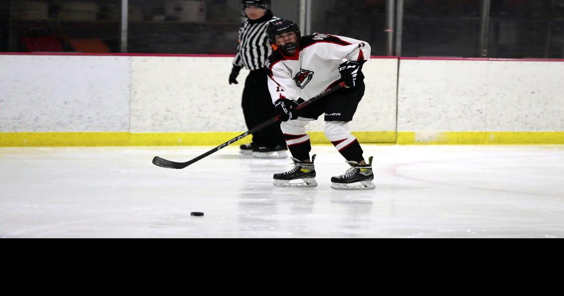 Houston hockey team sweeps Juneau Local Sports News