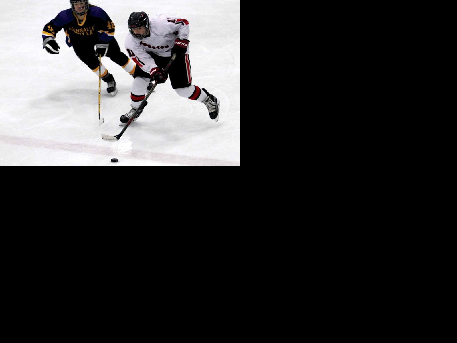 Houston hockey preview Hawks eye return to state title game Local