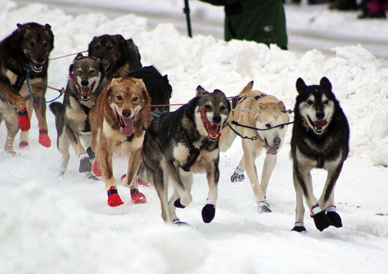 Meet the mushers The rookies Iditarod Trail Sled Dog Race