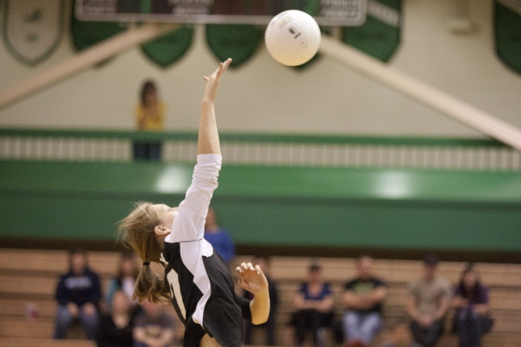 Colony Knights Volleyball Sports