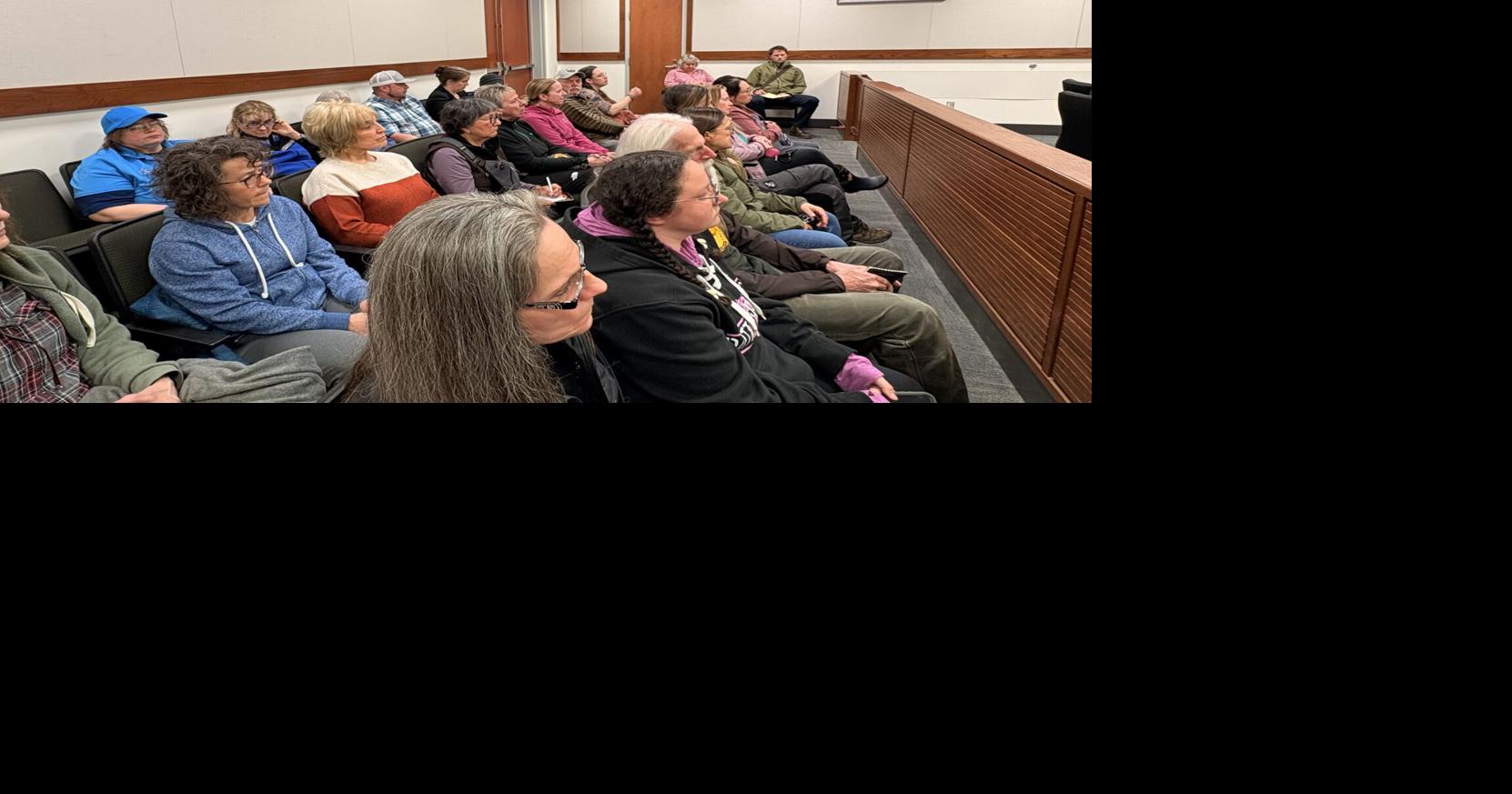 Packed courtroom hears not guilty plea in high-profile Willow dog case