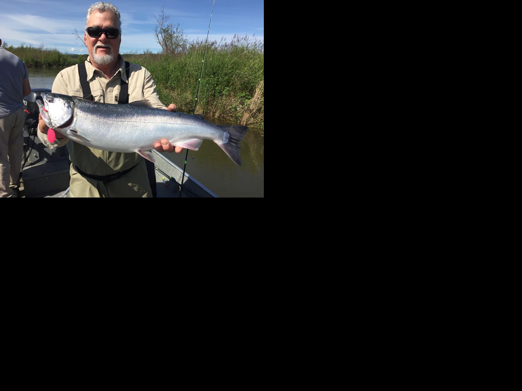 Salmon Transitions King Salmon To Close On Little Su Outdoors Frontiersman Com
