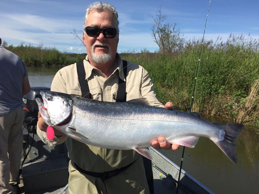 Salmon Transitions King Salmon To Close On Little Su Outdoors Frontiersman Com