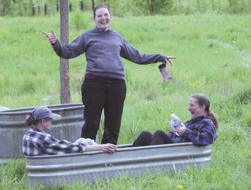 Birch Grove Farm Sells Everything ‘except The Old Man Farmer And His