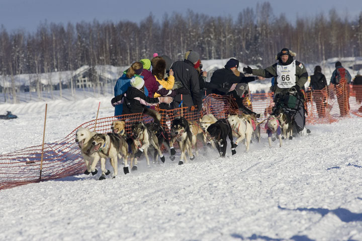 2012 Iditarod Trail Sled Dog Race | Featured | frontiersman.com