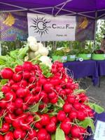 Farmers markets bring fresh local goodness
