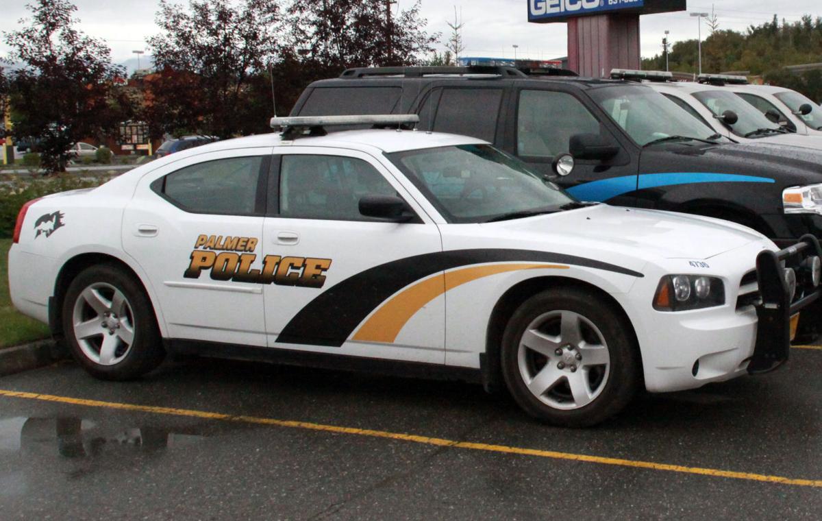 Palmer police car