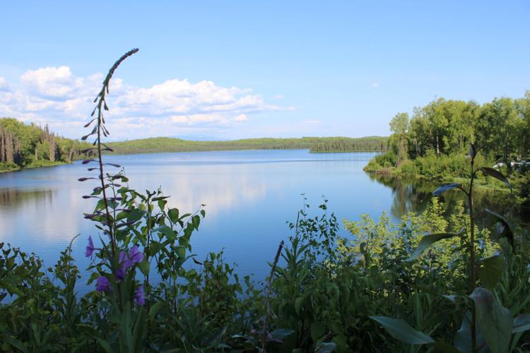 Alaskans have state parks and campgrounds to themselves this summer