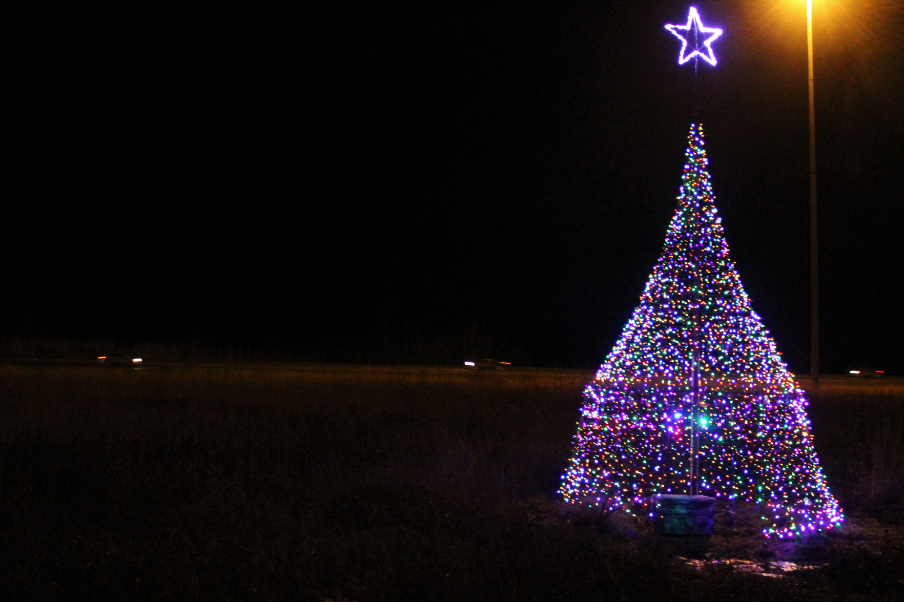 A New Tree Tradition | Local News | Frontiersman.com