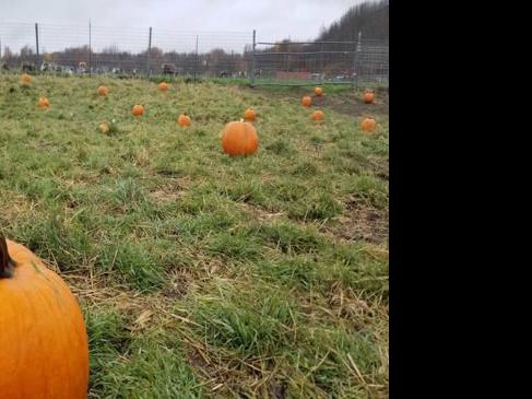 Halloween Event Round Up Local News Stories Frontiersman Com