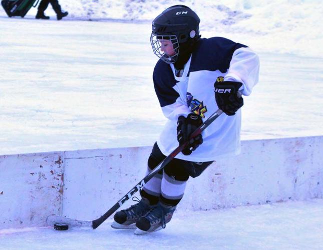 For the love of the game: Annual event celebrates hockey | Local Sports ...