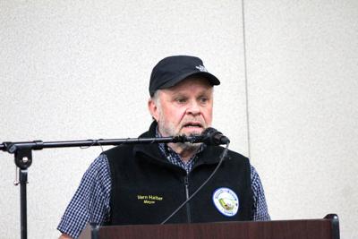 Borough Offers Free Drop Off For Spruce Bark Beetle Kill Trees Local News Stories Frontiersman Com