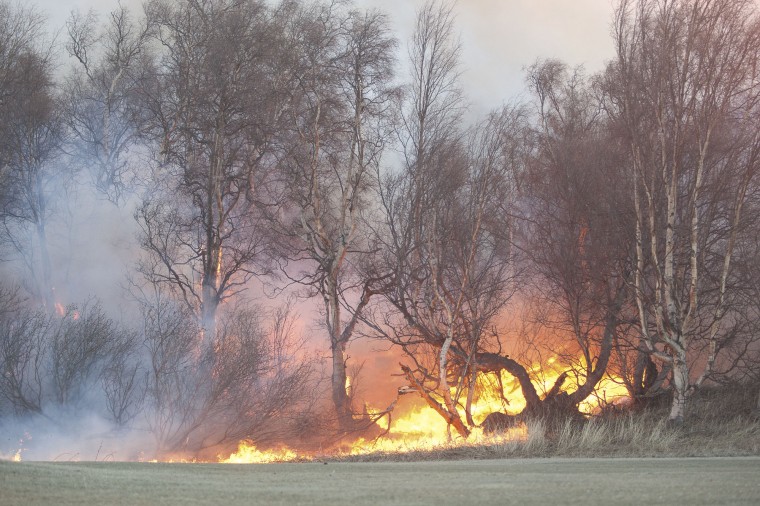 Cedar Hills Fire Featured