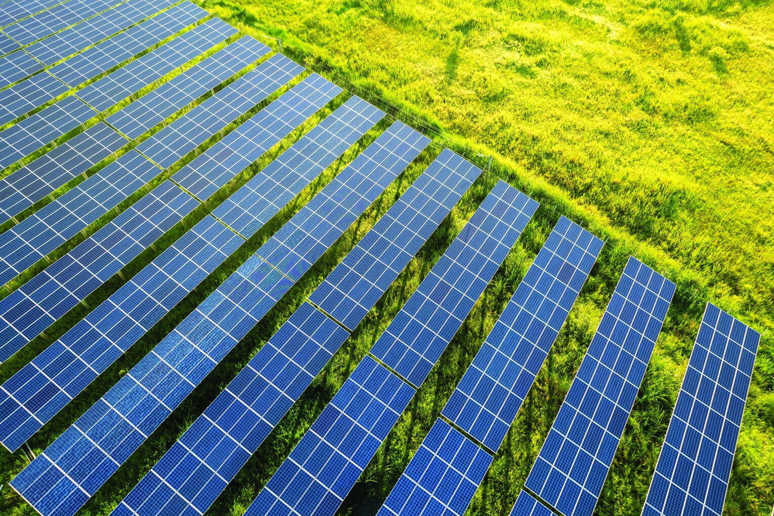 Texas Sb 6 2025 Bill 