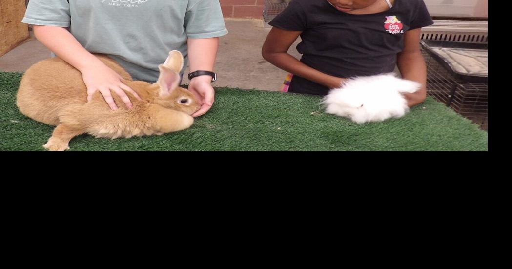 New barn for Gainesville ISD ag students News gainesvilleregister com