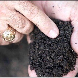 Why should Texans get their soil tested? - Vimarsana News