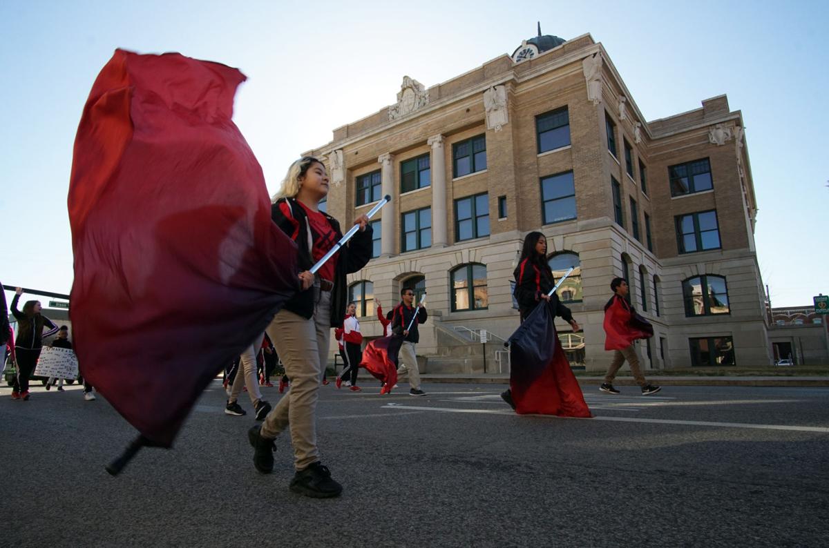 01-21 mlk flag waver.jpg