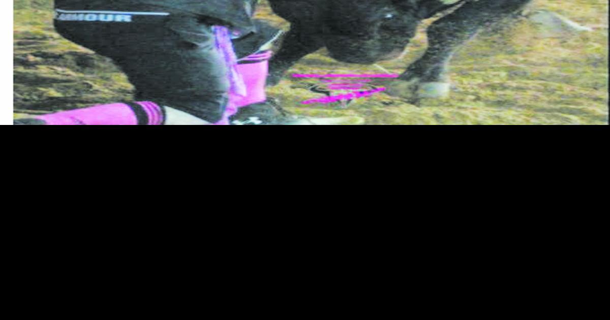 Bullfighter ready to light up Gainesville Rodeo News