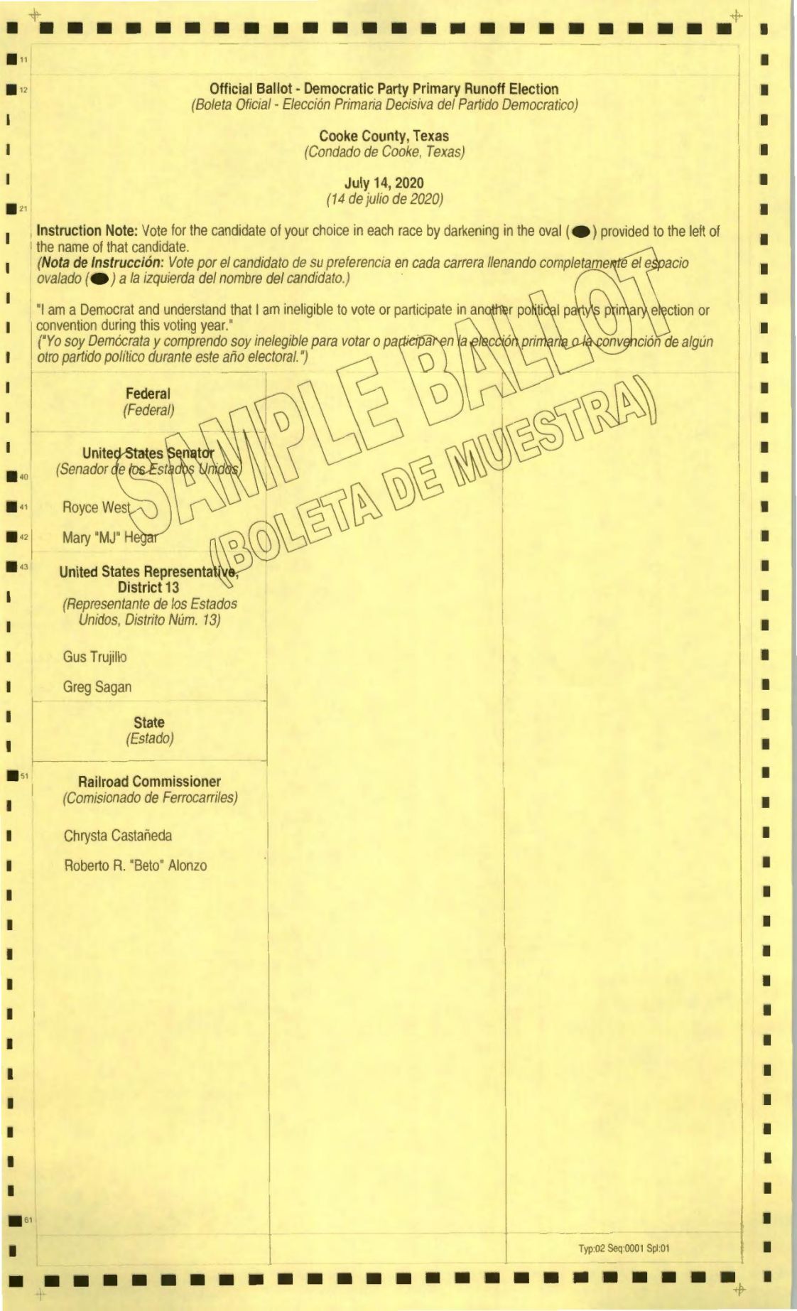 PDF: July 14, 2020 Democratic Primary Runoff Sample Ballot ...