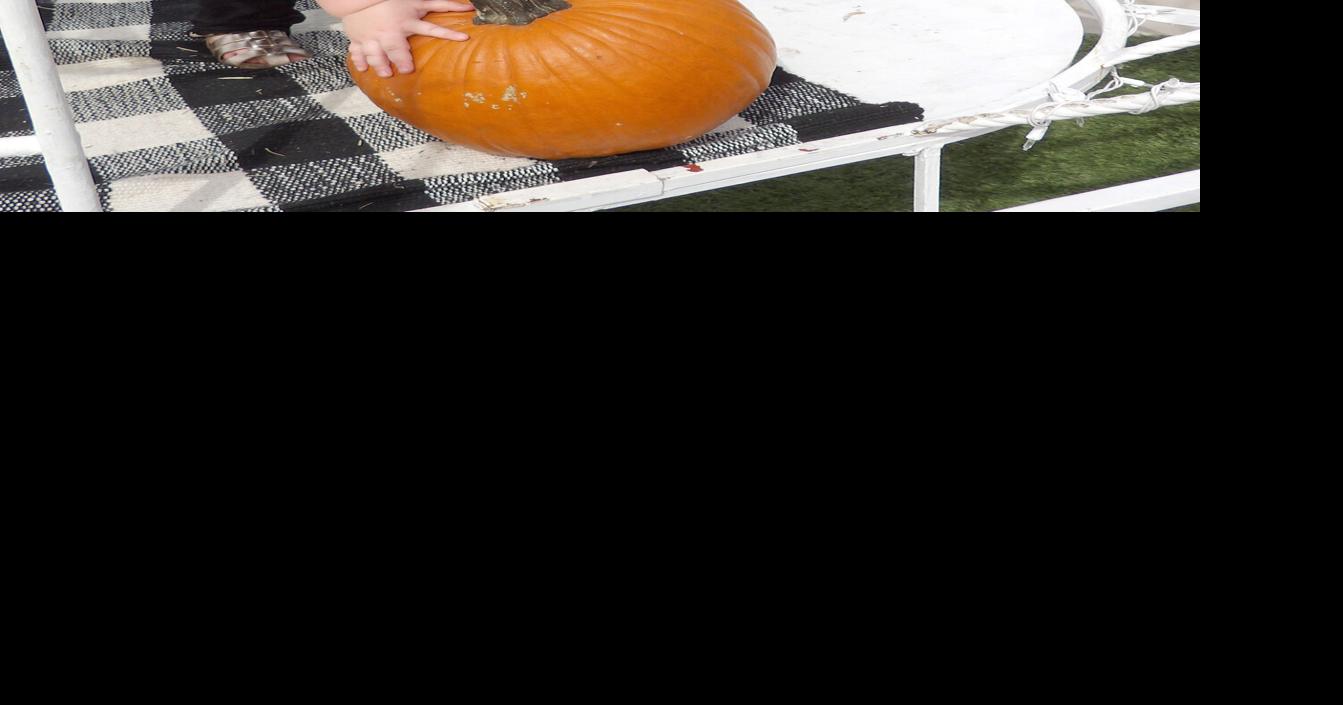 Halloween pumpkin patch
