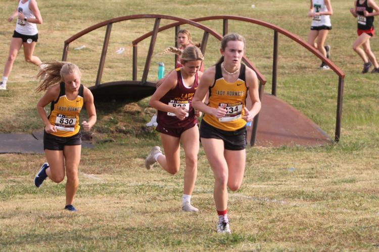 Muenster, Collinsville win XC districts Sports