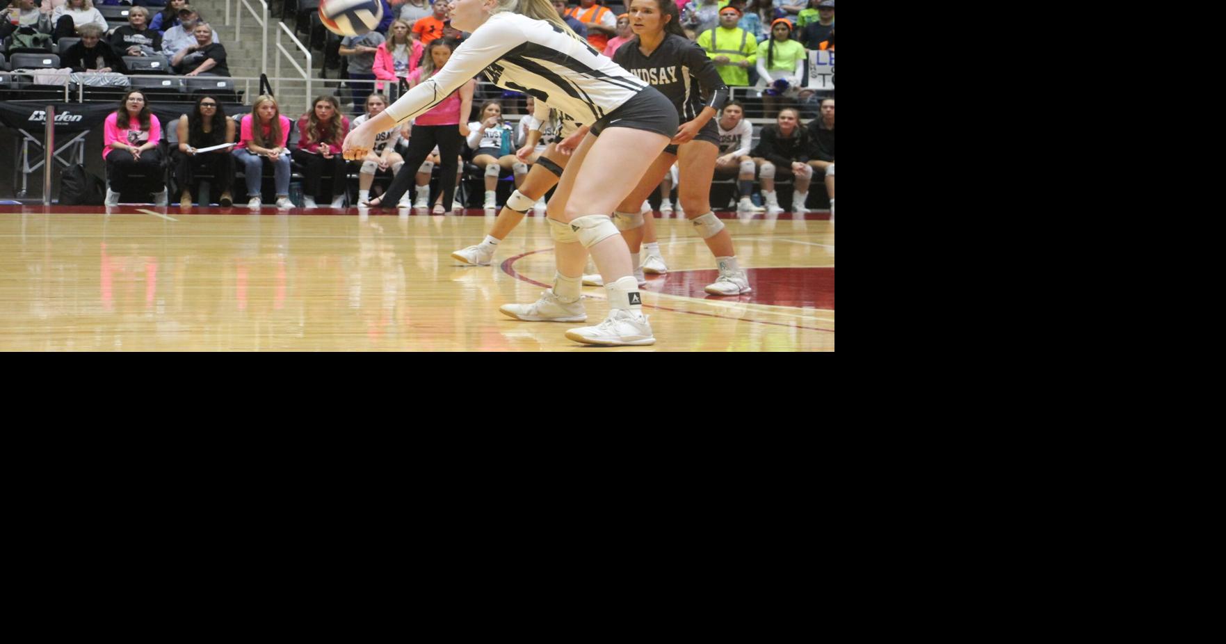 Volleyball alldistrict teams Sports