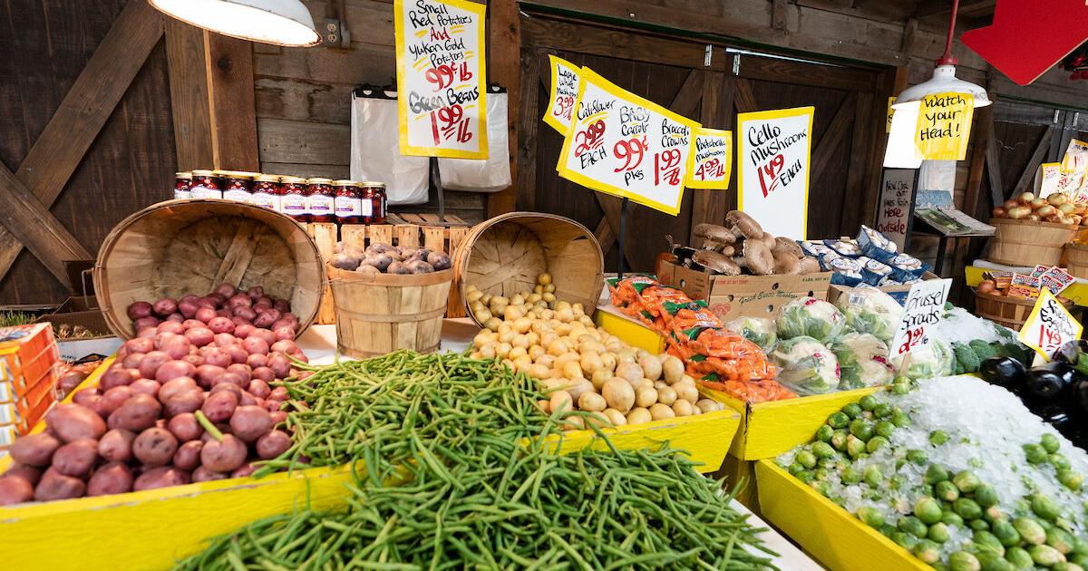 Texas A&M AgriLife study reveals why food waste rises, falls as incomes grow
