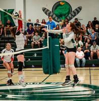Hawk Volleyball Foundation game competitive