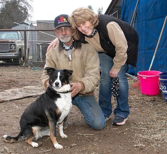 Throwaway dogs are reborn at Wilton Animal Rescue | Lifestyle |  