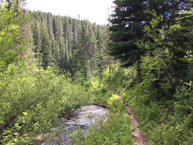 The nearby Great Outdoors: Trail #501