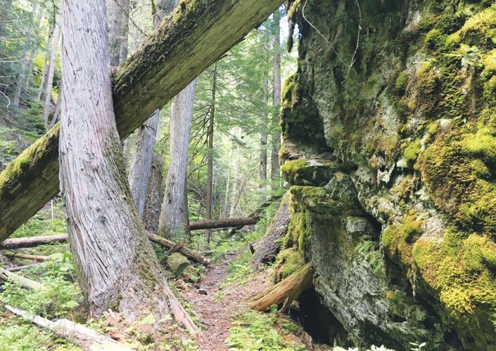 The nearby Great Outdoors Skookum Creek Trail 193 News