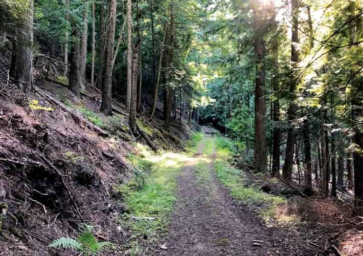 The nearby Great Outdoors: Lakeshore Loop