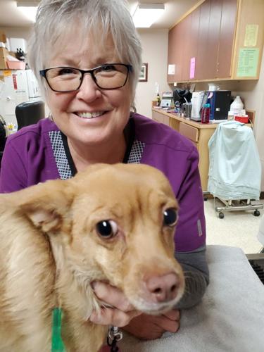 Veterinary technitian Kristin Mortensen will retire from the Benewah Veterinary Clinic after 27 years. She plans to spend her free time seeing family and doing some travelling. Her last day is March 30 (today).
