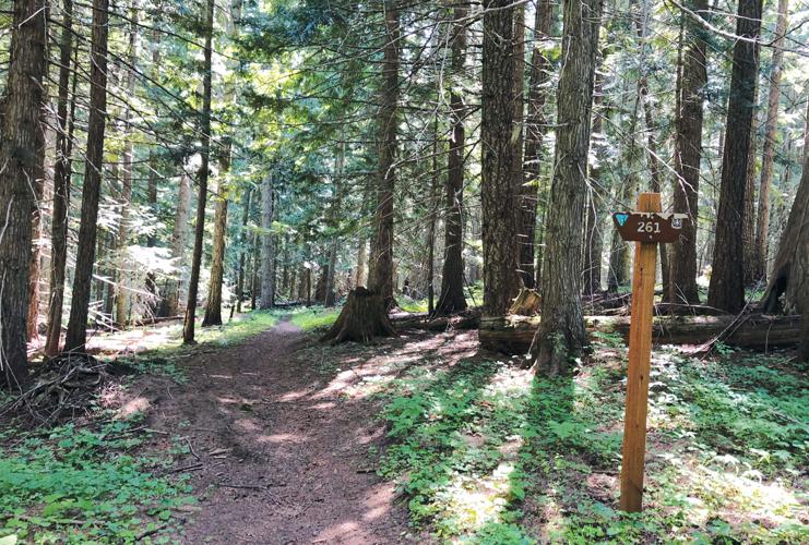 The nearby Great Outdoors: Gold Center-Marble Creek Trail #251