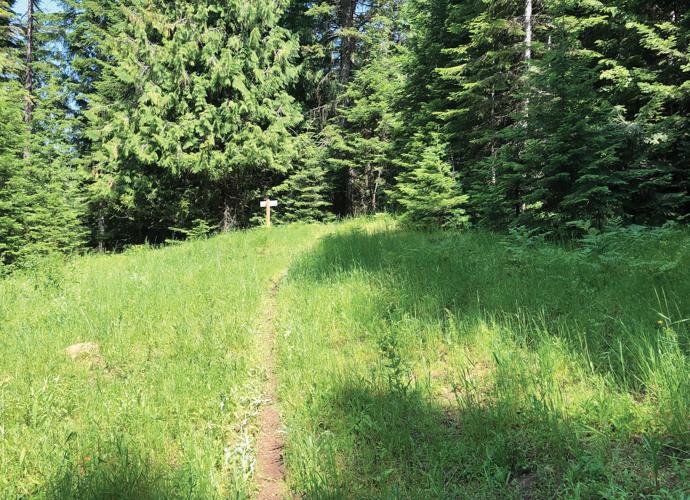 The nearby Great Outdoors: Gold Center-Marble Creek Trail #251
