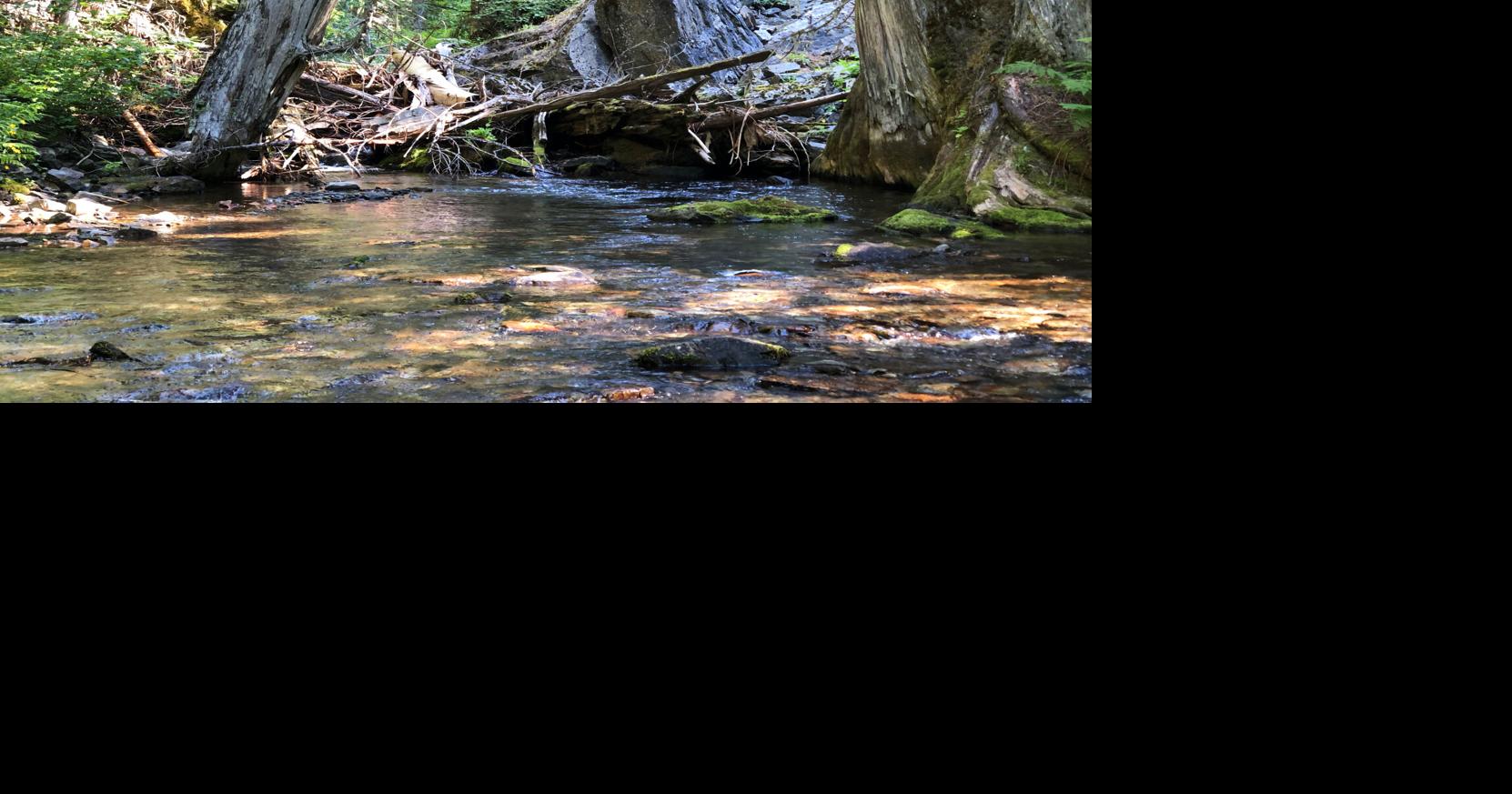 The nearby Great Outdoors Skookum Creek Trail 193 Sports