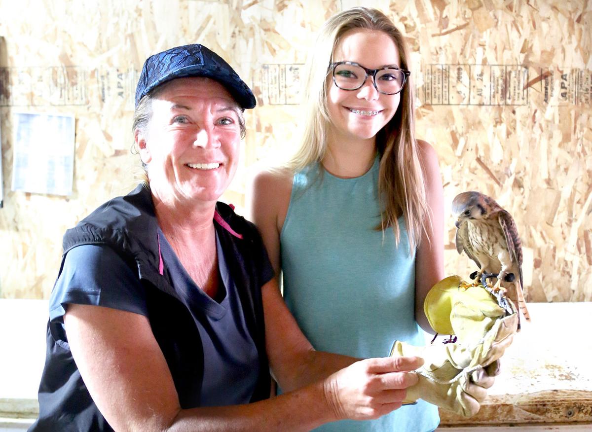 Birds of Prey Donation