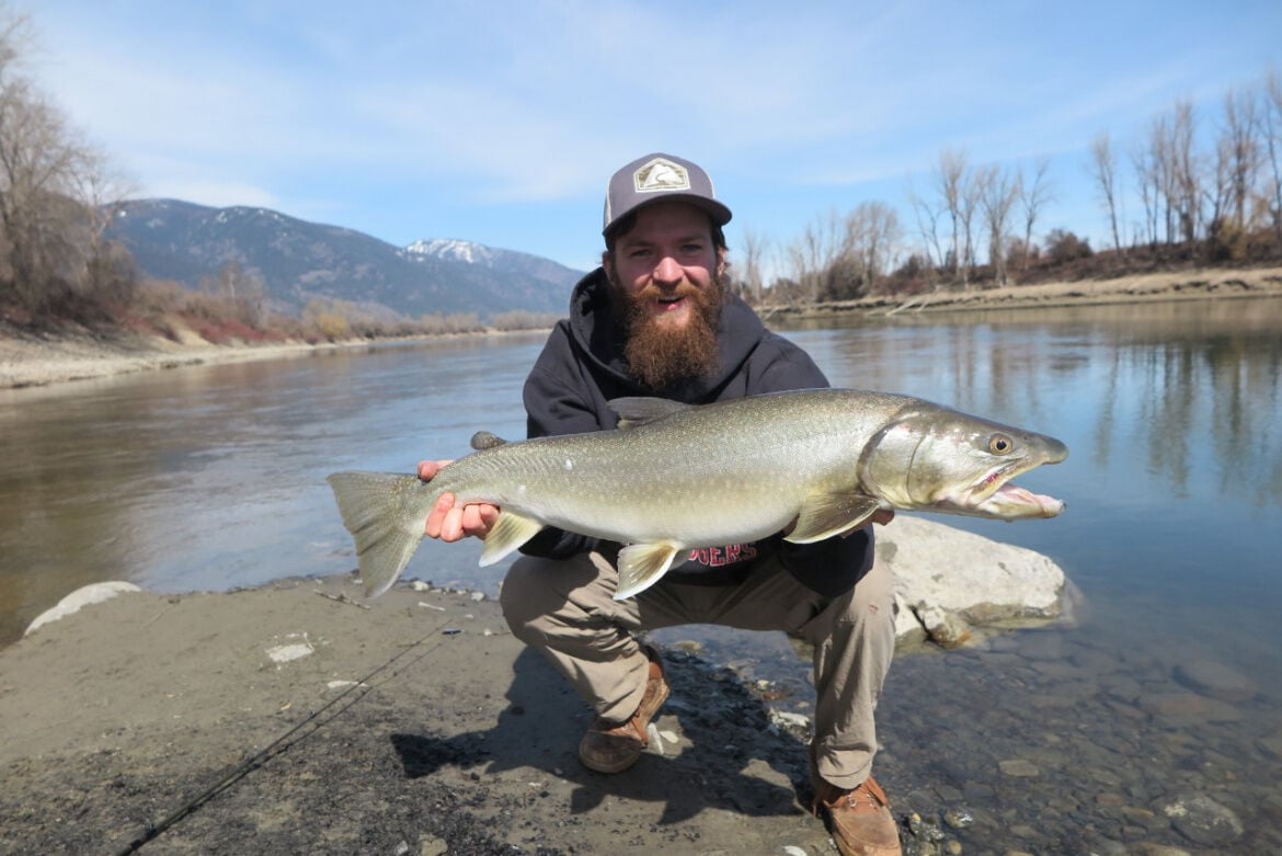 The ones that didn't get away: Five big fish stories of 2020 - Vimarsana News