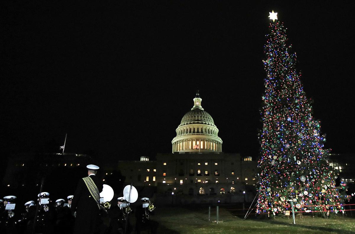 Gallery Capitol Christmas Tree in D.C.