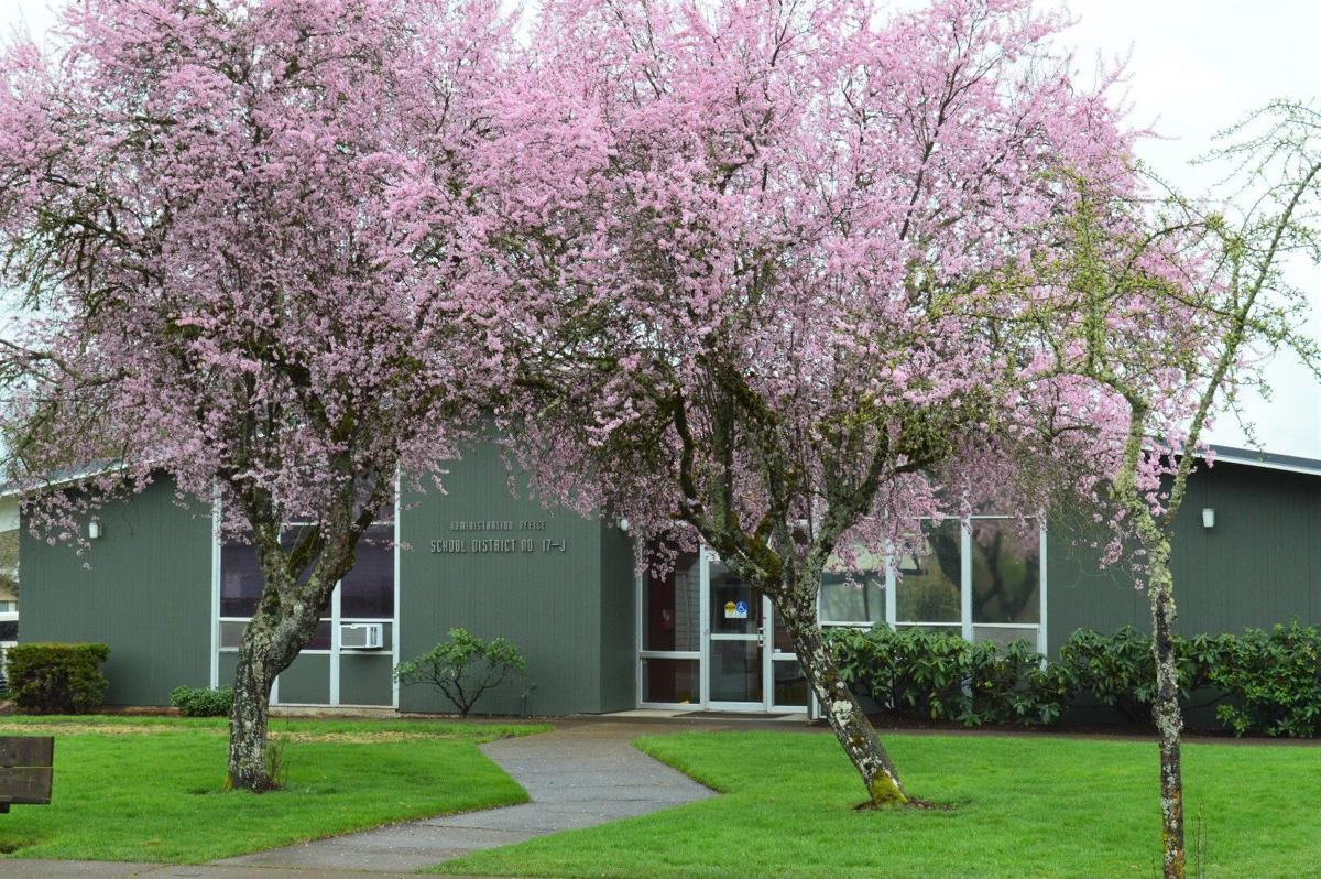 Philomath School District Office artwork
