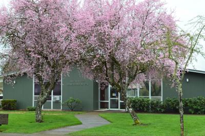 Philomath School District Office artwork