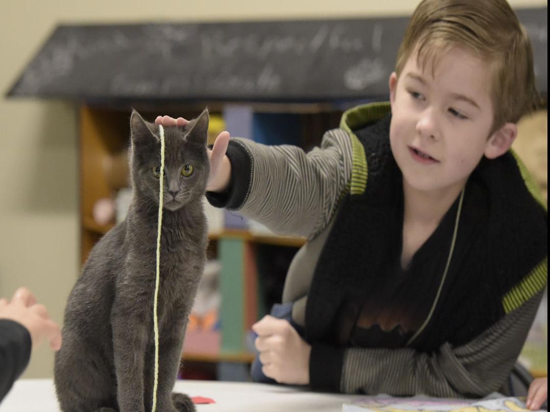 Safehaven Wraps Up Year With Day Camp Local Gazettetimes Com