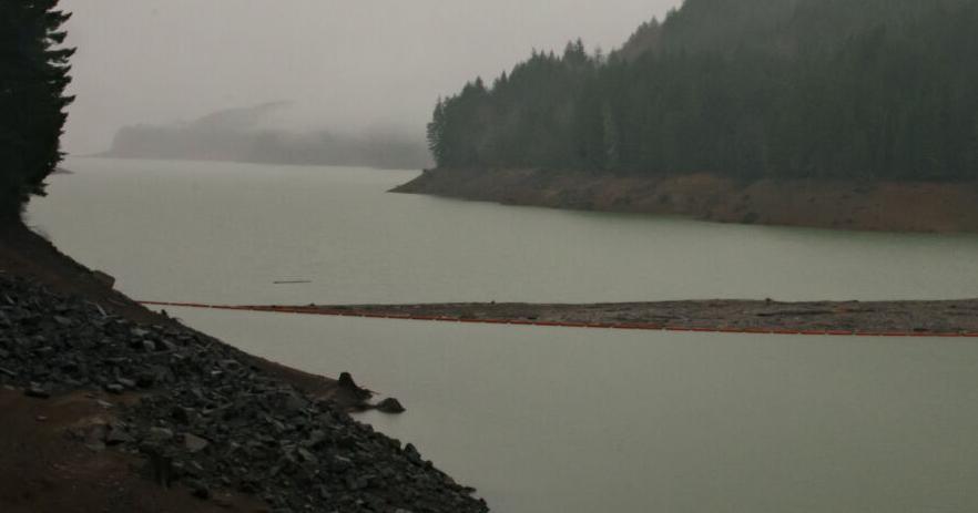Kotek: Feds have pay for Green Peter drawndown impacts - Vimarsana News