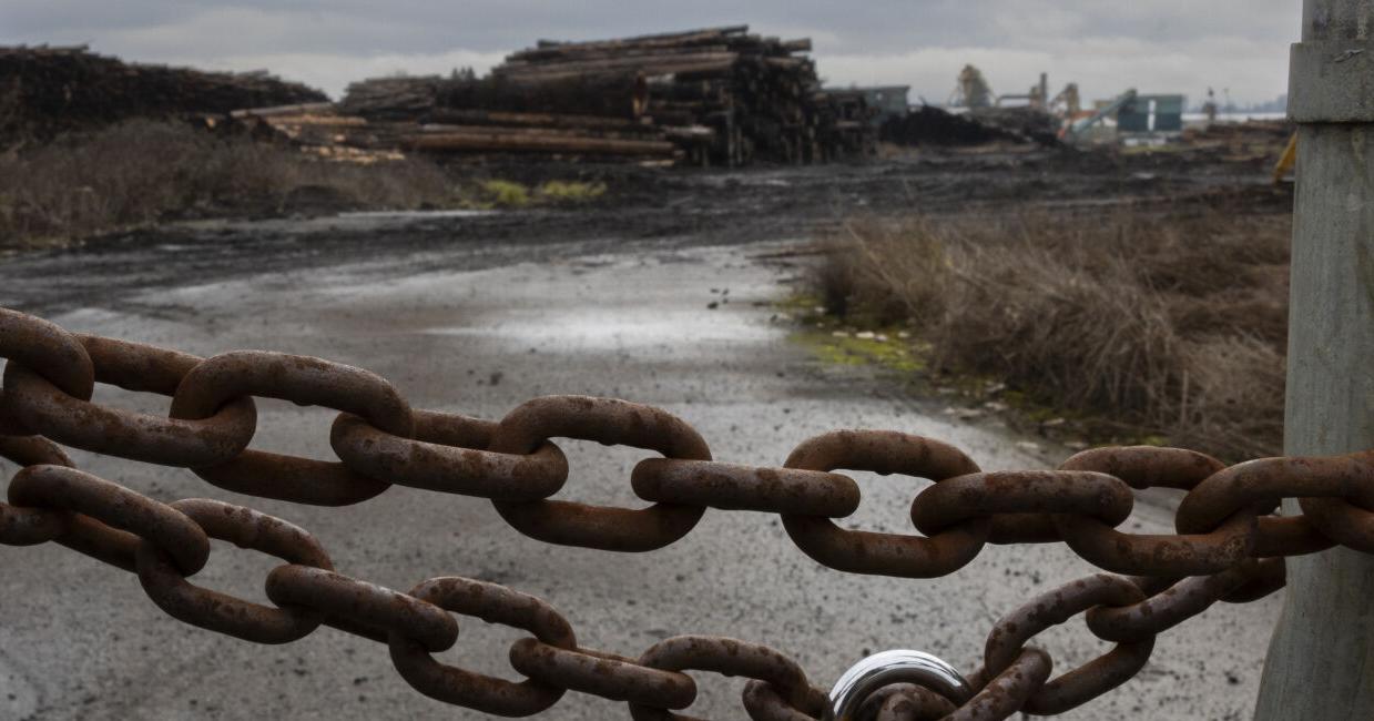 Canada-based lumber company winds down Philomath operation - Vimarsana News