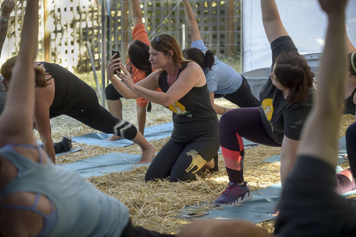 Goat Yoga 01