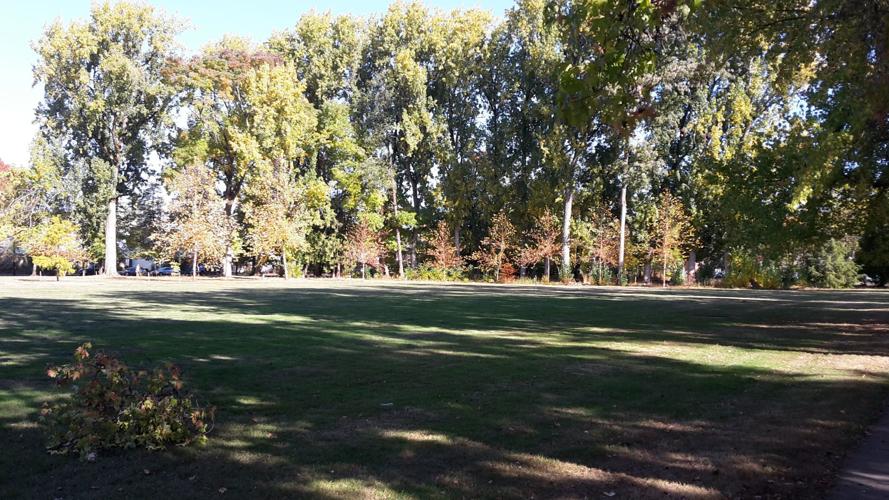 Neighbors sound off on OSU housing plan