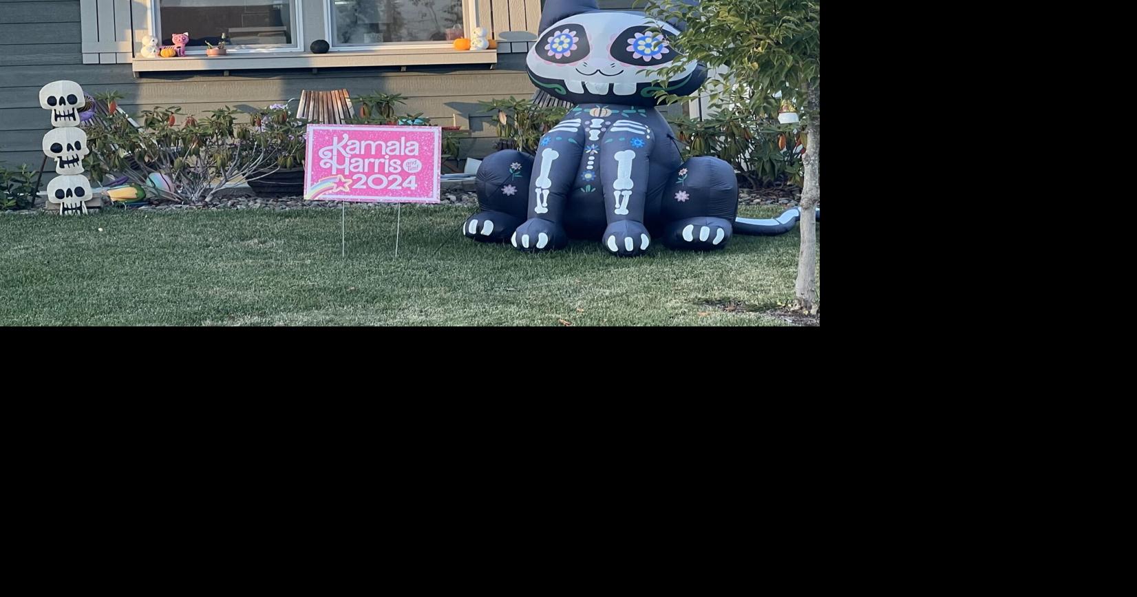 Column: Trump-Harris sign wars in North Albany tell a story